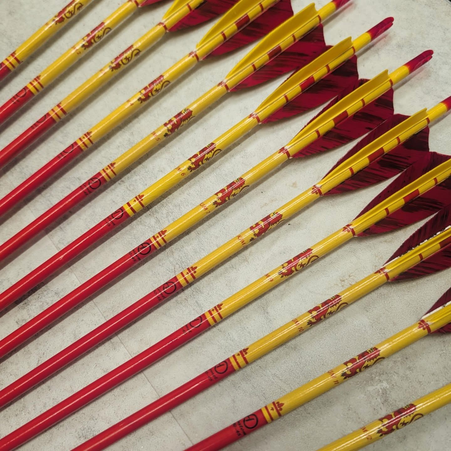 50 Uds nuevas flechas de pluma - Archery Target Face reseña y precio